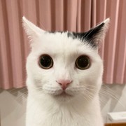 white black